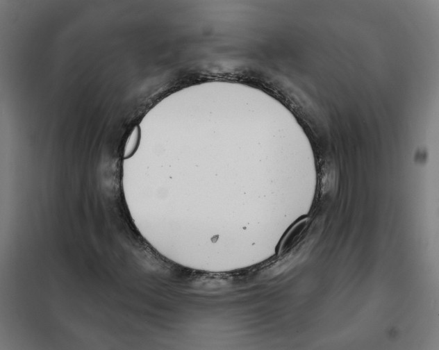 X0000101701156200808071152