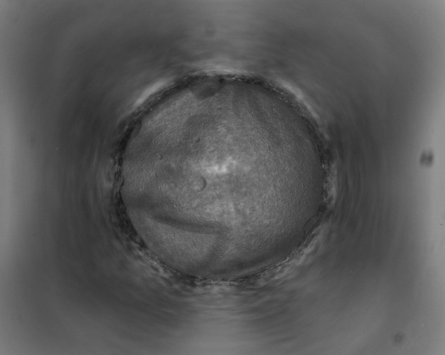 X0000101701157200808071152