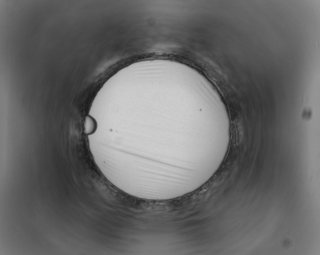 X0000101701158200808071152