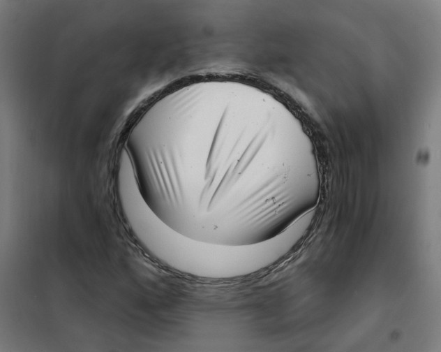 X0000101701160200808071152