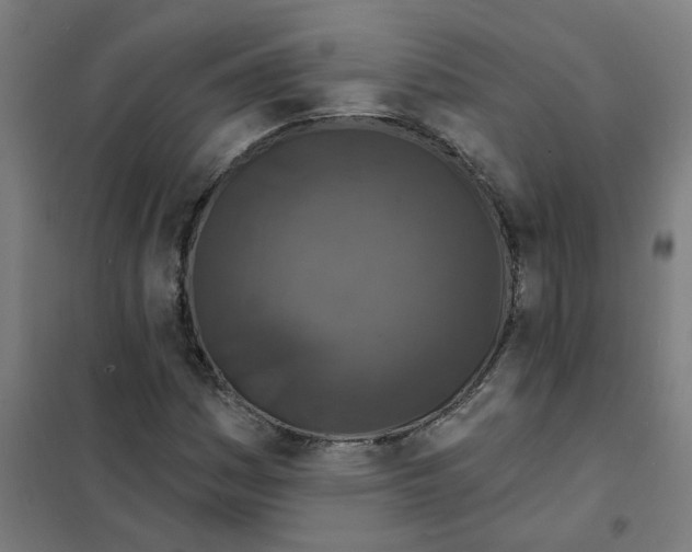 X0000101701161200808071152