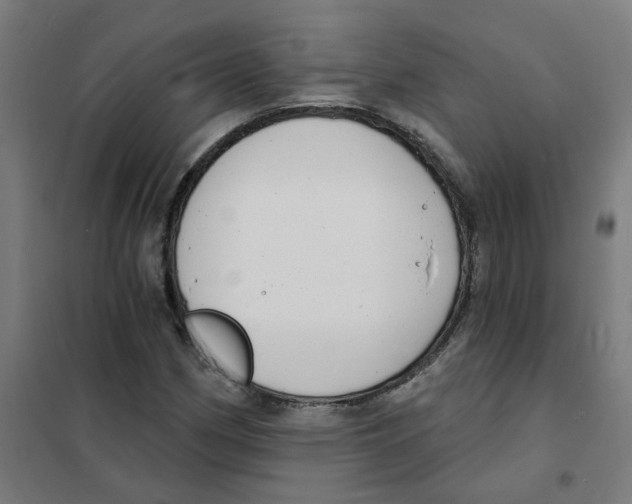 X0000101701162200808071152
