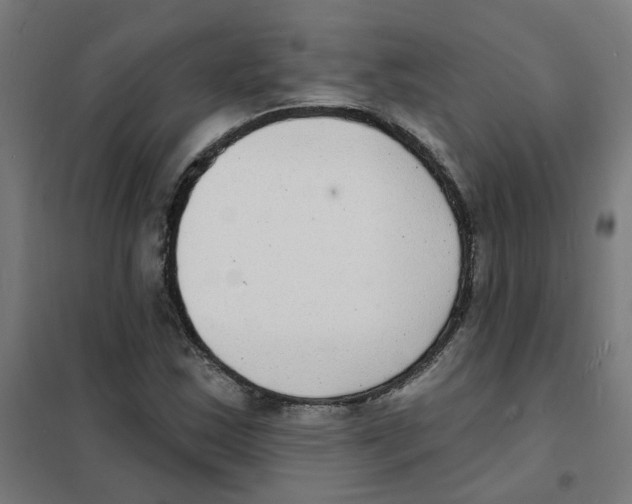 X0000101701163200808071152