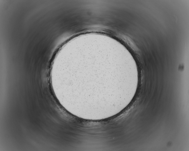 X0000101701164200808071152