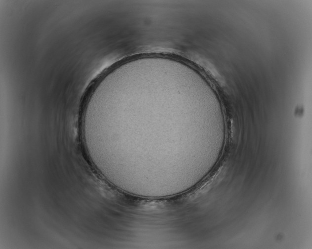 X0000101701165200808071151