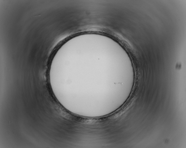 X0000101701166200808071151
