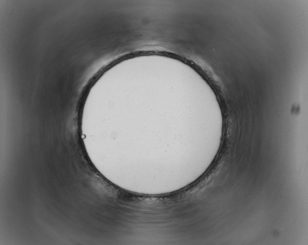 X0000101701167200808071151