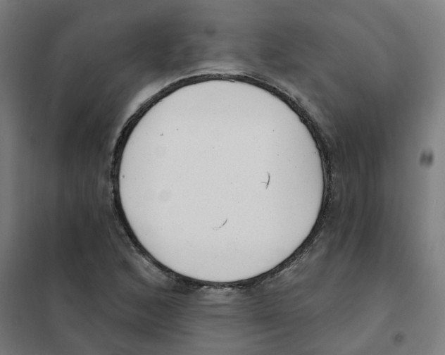 X0000101701168200808071151
