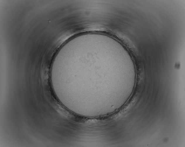 X0000101701169200808071151