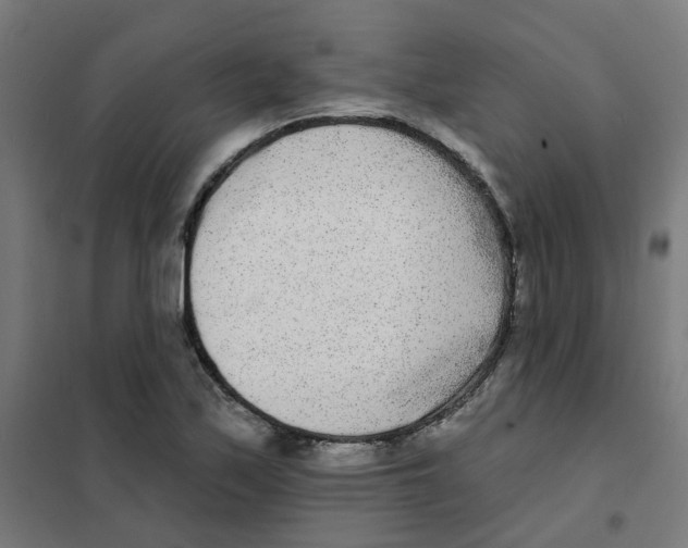 X0000101701171200808071151