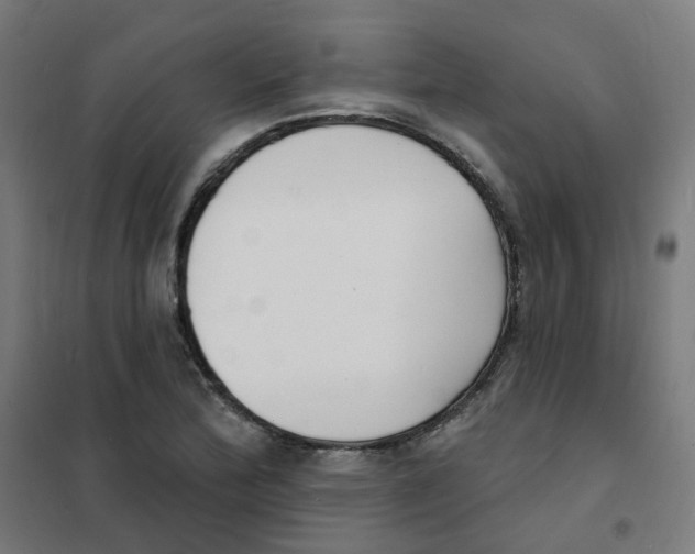 X0000101701172200808071151