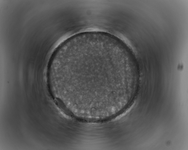 X0000101701173200808071151