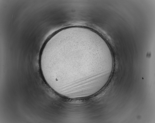 X0000101701174200808071151