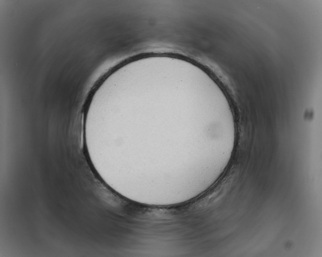 X0000101701175200808071151