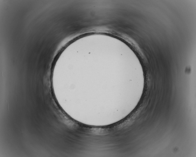 X0000101701176200808071151