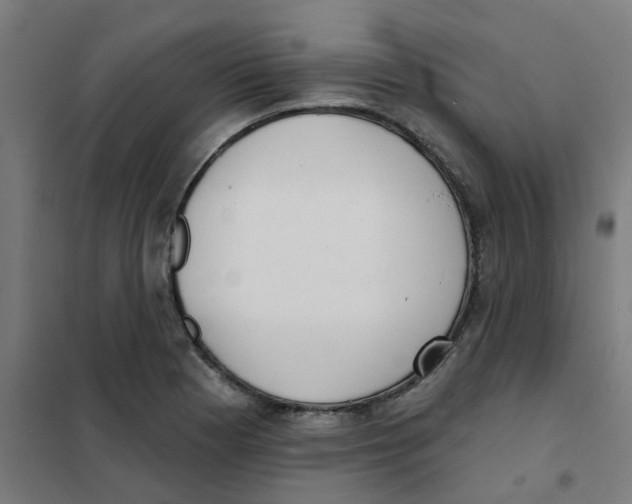 X0000101701177200808071151