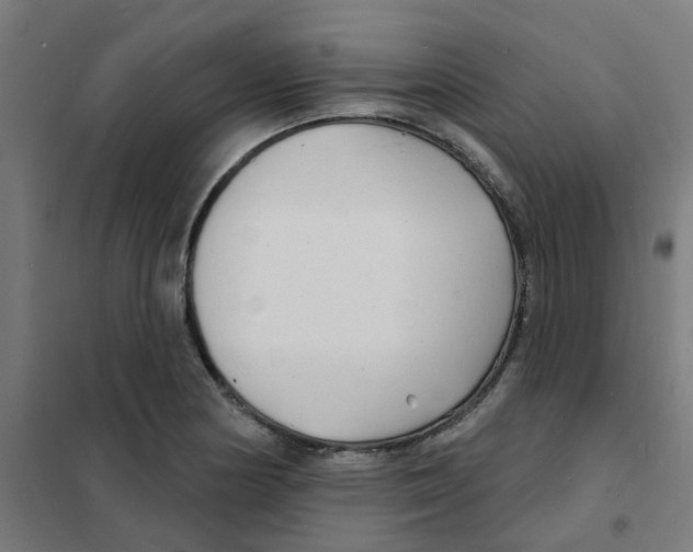 X0000101701178200808071151