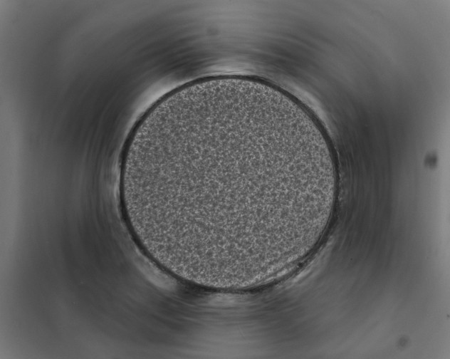 X0000101701179200808071151