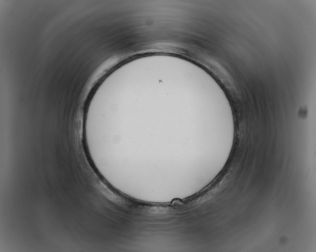 X0000101701180200808071151