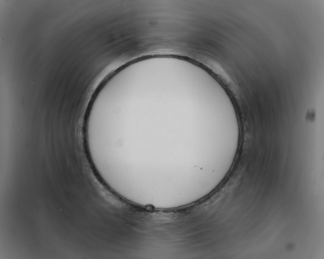 X0000101701181200808071151
