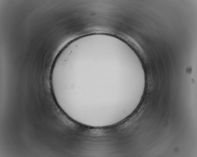 X0000101701182200808071151