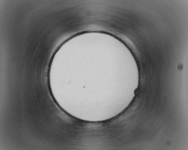 X0000101701183200808071151