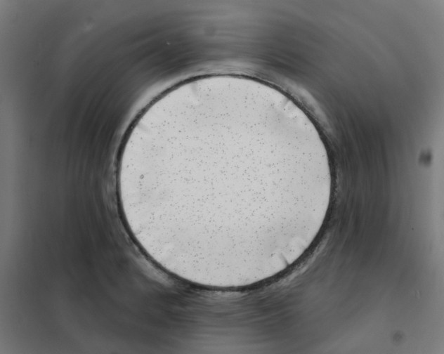 X0000101701184200808071151