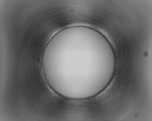 X0000101701185200808071151