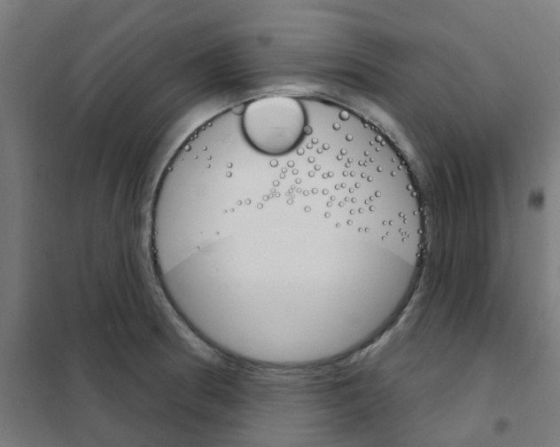 X0000101701186200808071151