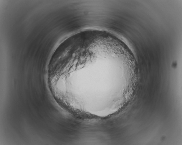 X0000101701187200808071151