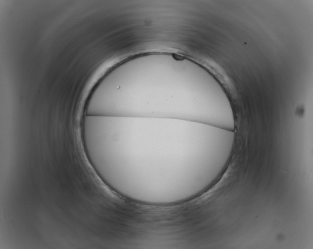 X0000101701188200808071151
