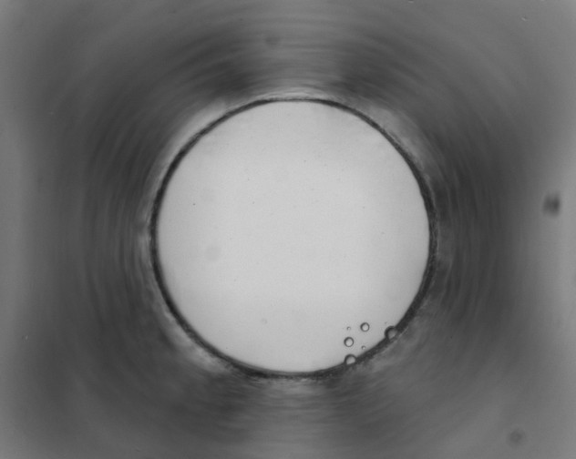 X0000101701189200808071151