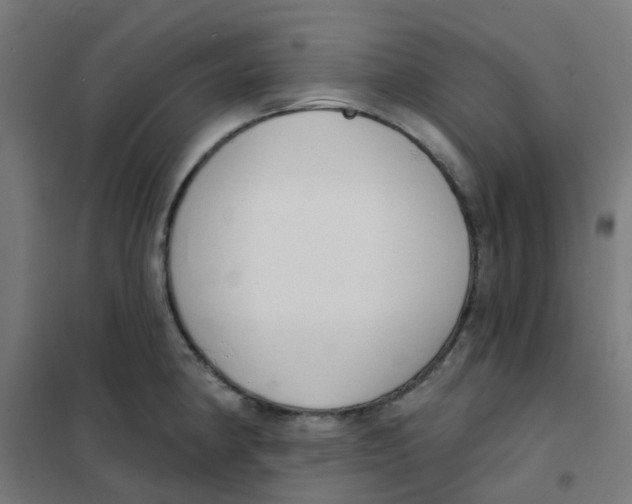 X0000101701190200808071151