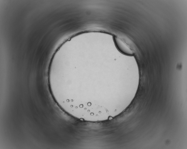 X0000101701191200808071151