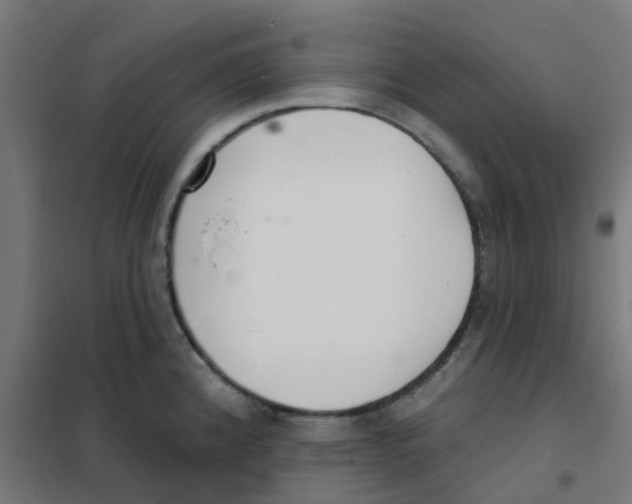 X0000101701192200808071151