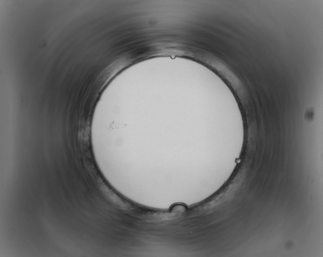 X0000101701193200808071151