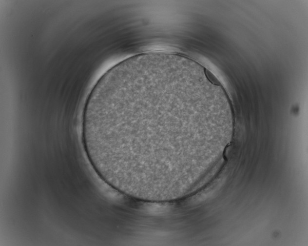 X0000101701195200808071151