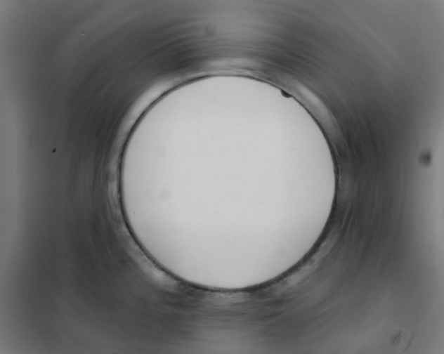 X0000101701196200808071151