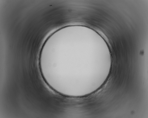 X0000101701197200808071151