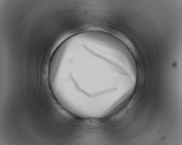 X0000101701198200808071151