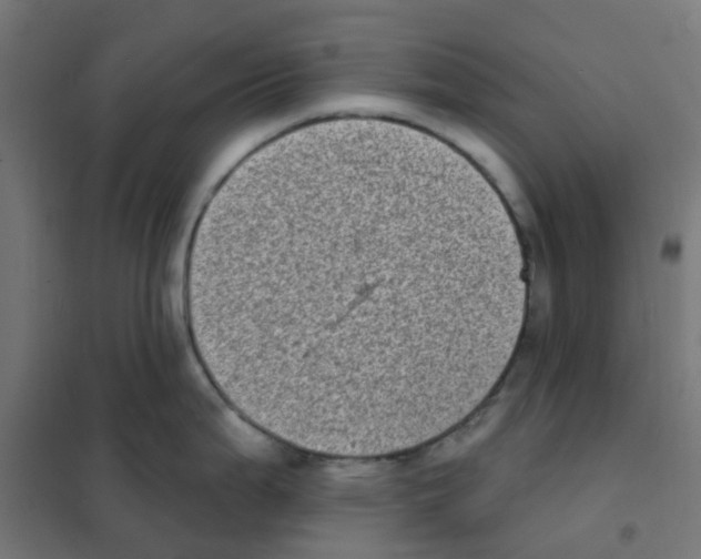 X0000101701199200808071151