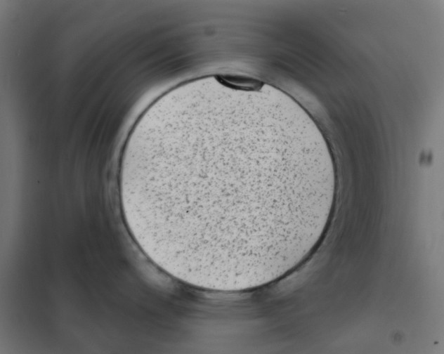 X0000101701200200808071151