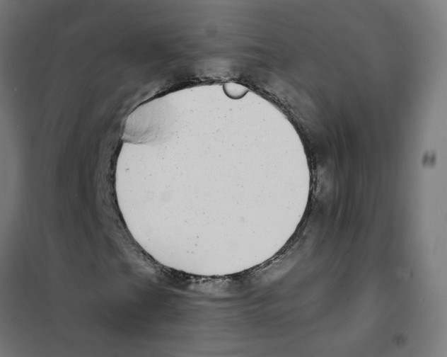 X0000101701201200808071150