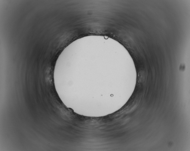 X0000101701202200808071150