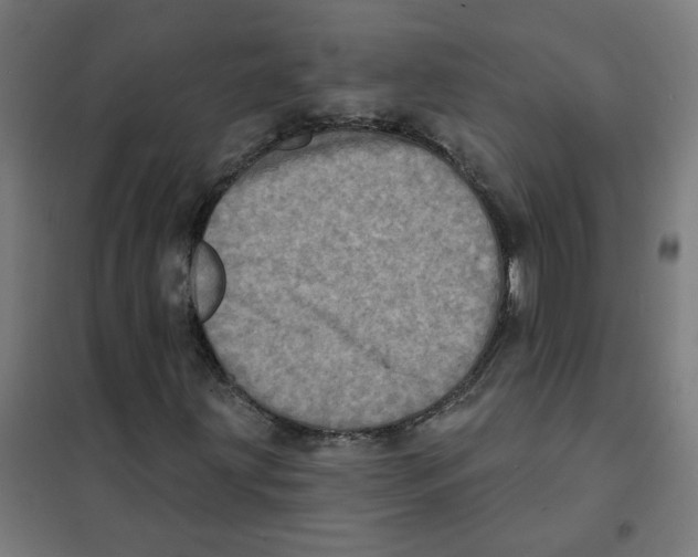 X0000101701203200808071150