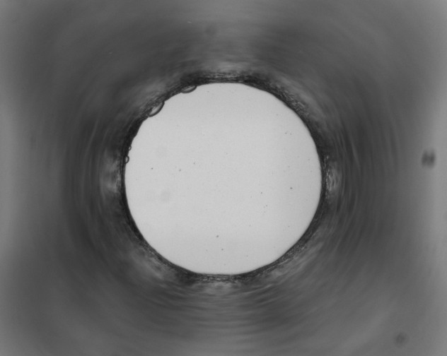 X0000101701204200808071150