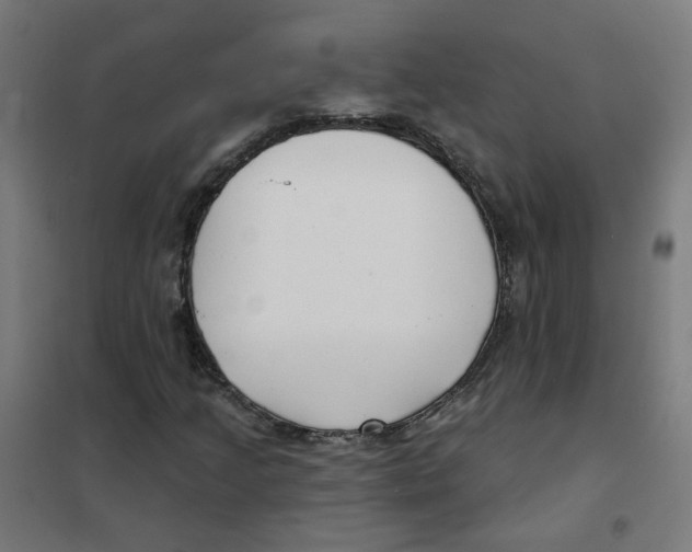 X0000101701205200808071150