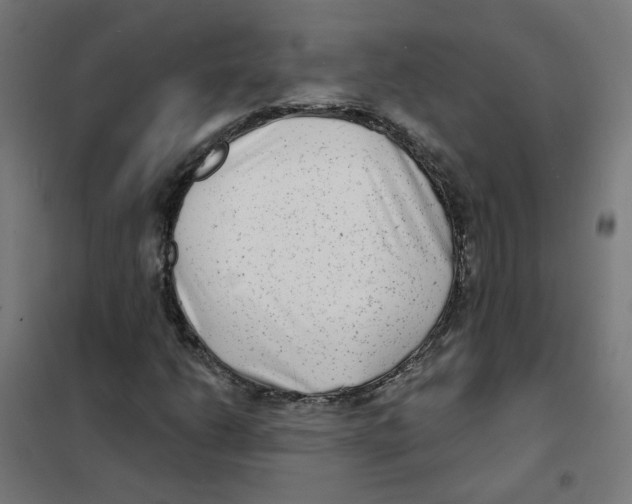 X0000101701206200808071150