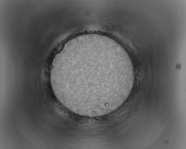 X0000101701207200808071150