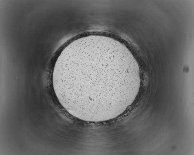 X0000101701208200808071150
